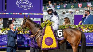 watch Breeders' Cup 2021 online - last year's event