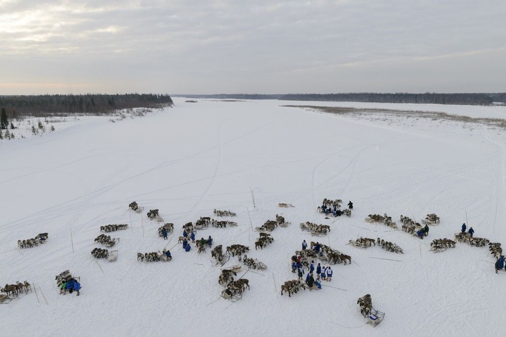 The national holiday &quot;Reindeer Herder&#039;s Day&quot; being celebrated on the Yamal Peninsula in Siberia in February 2016.