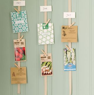hanging seed packets on green wall