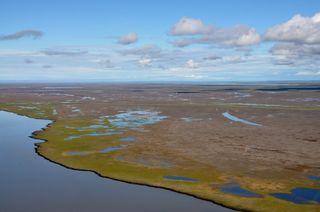 Mackenzie River delta