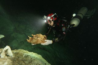 After professional diver Vicente Fito discovered the skeleton of the giant ground sloth in the underwater sinkhole in 2010, he brought Jeronimo Aviles, pictured, to the site to film the evidence.