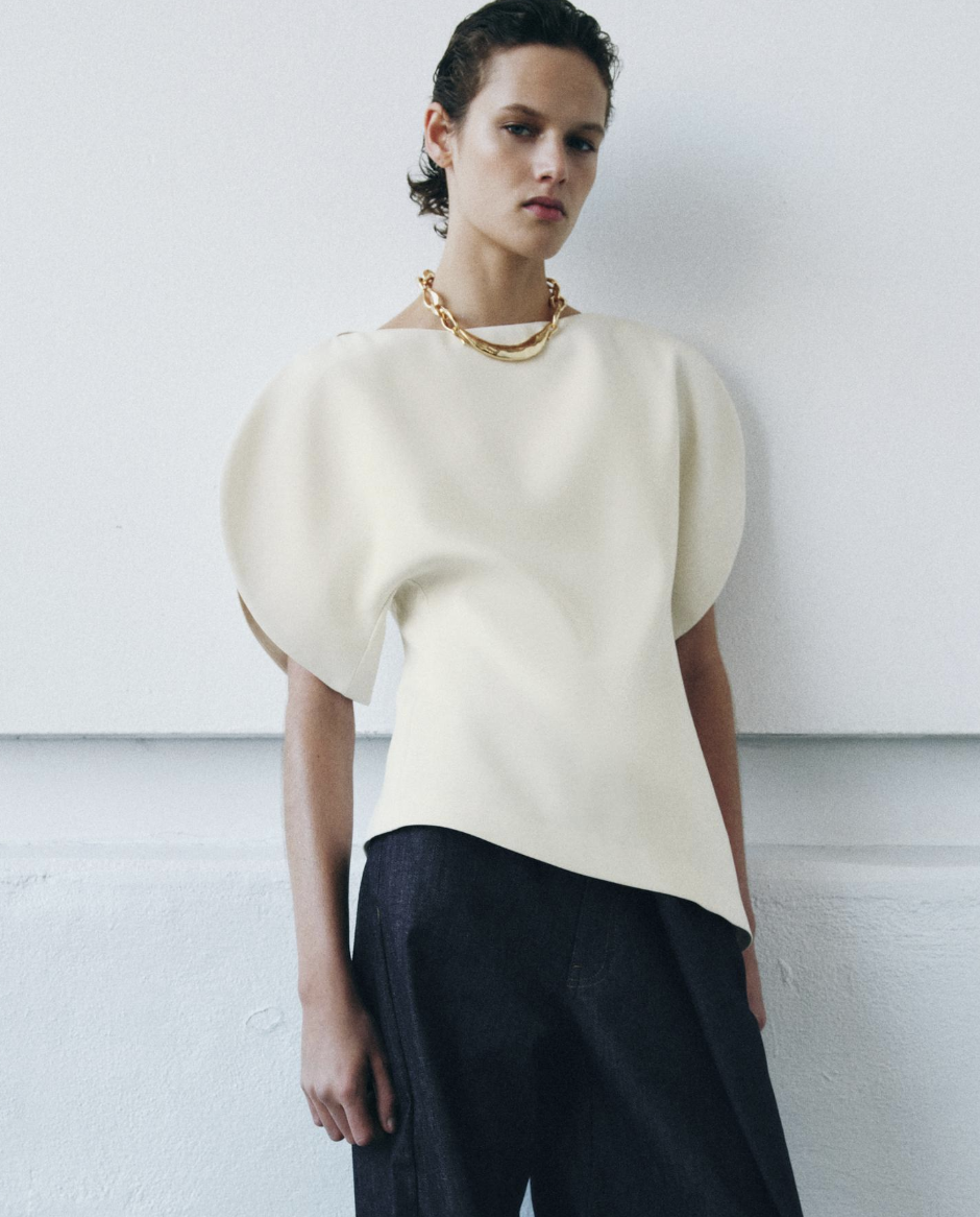 ZARA, Puff Sleeve Top Zw Collection