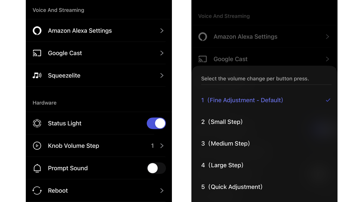 Screenshot of volume level settings in WiiM Home app