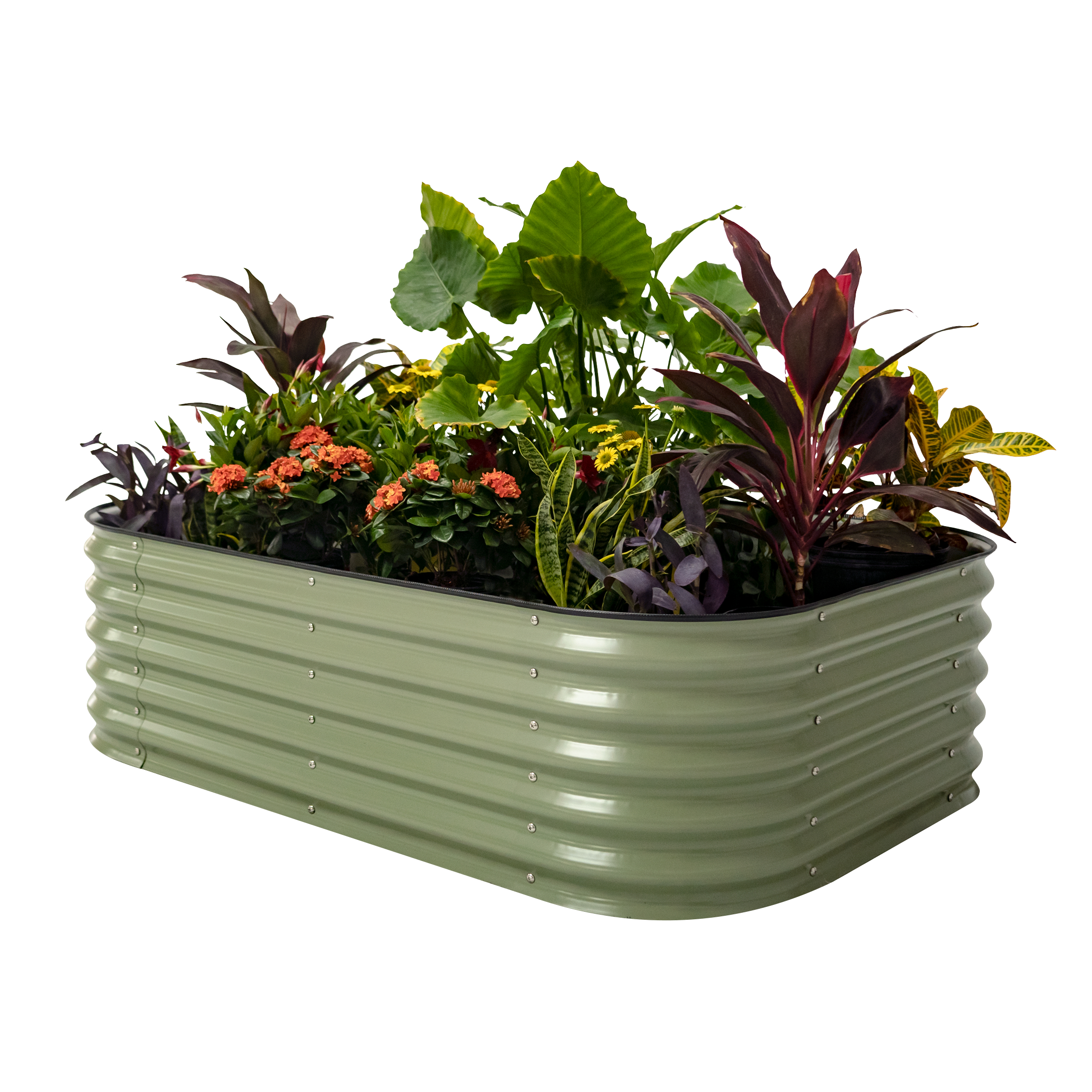 Vego raised bed in olive green