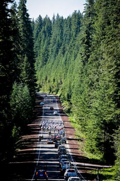 Rolling through the thick Oregon forests today.