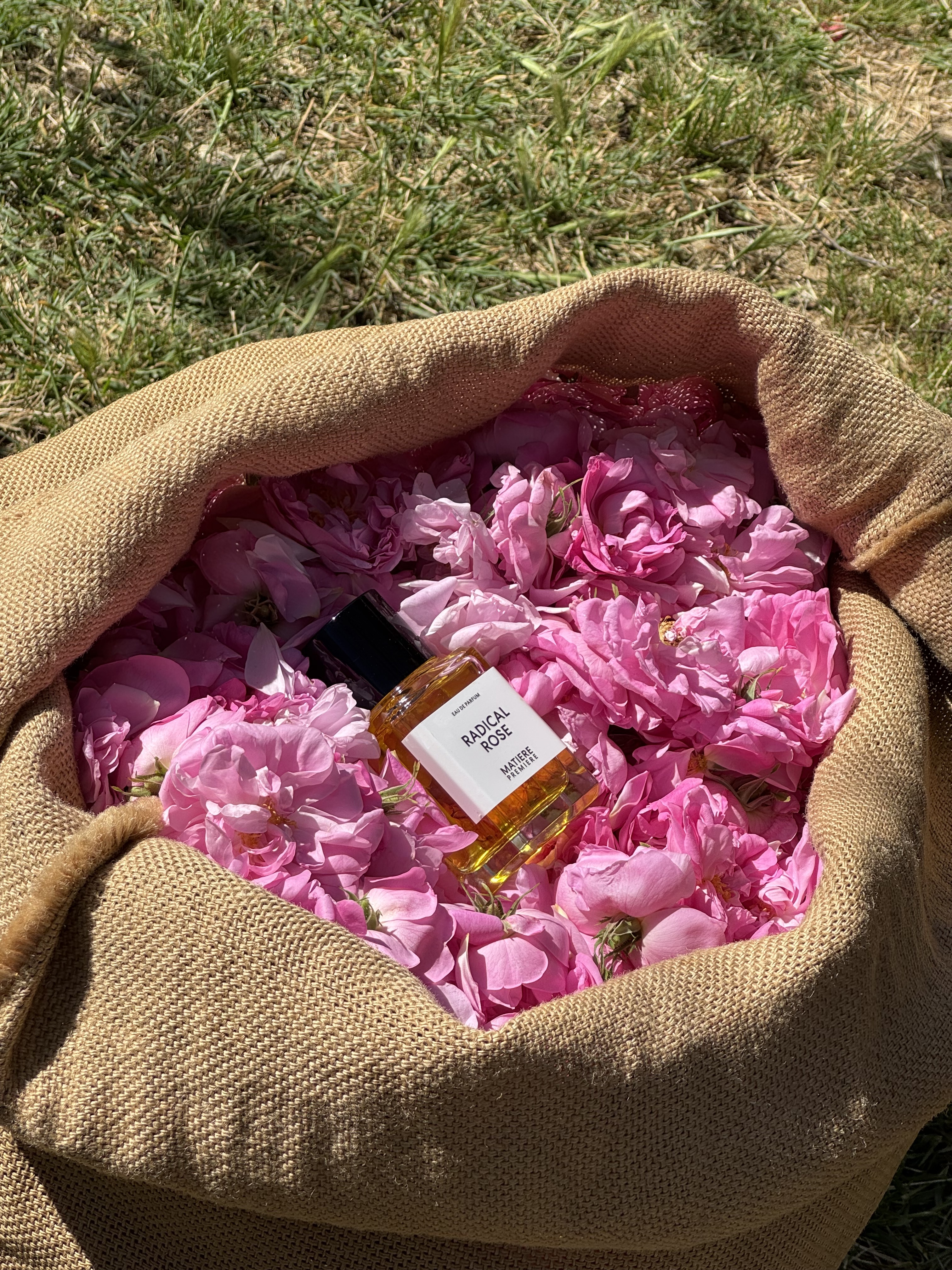 A bottle of perfume in a sack of rose petals