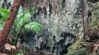 Bermuda caves