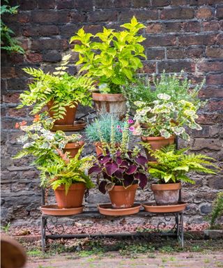 Container garden