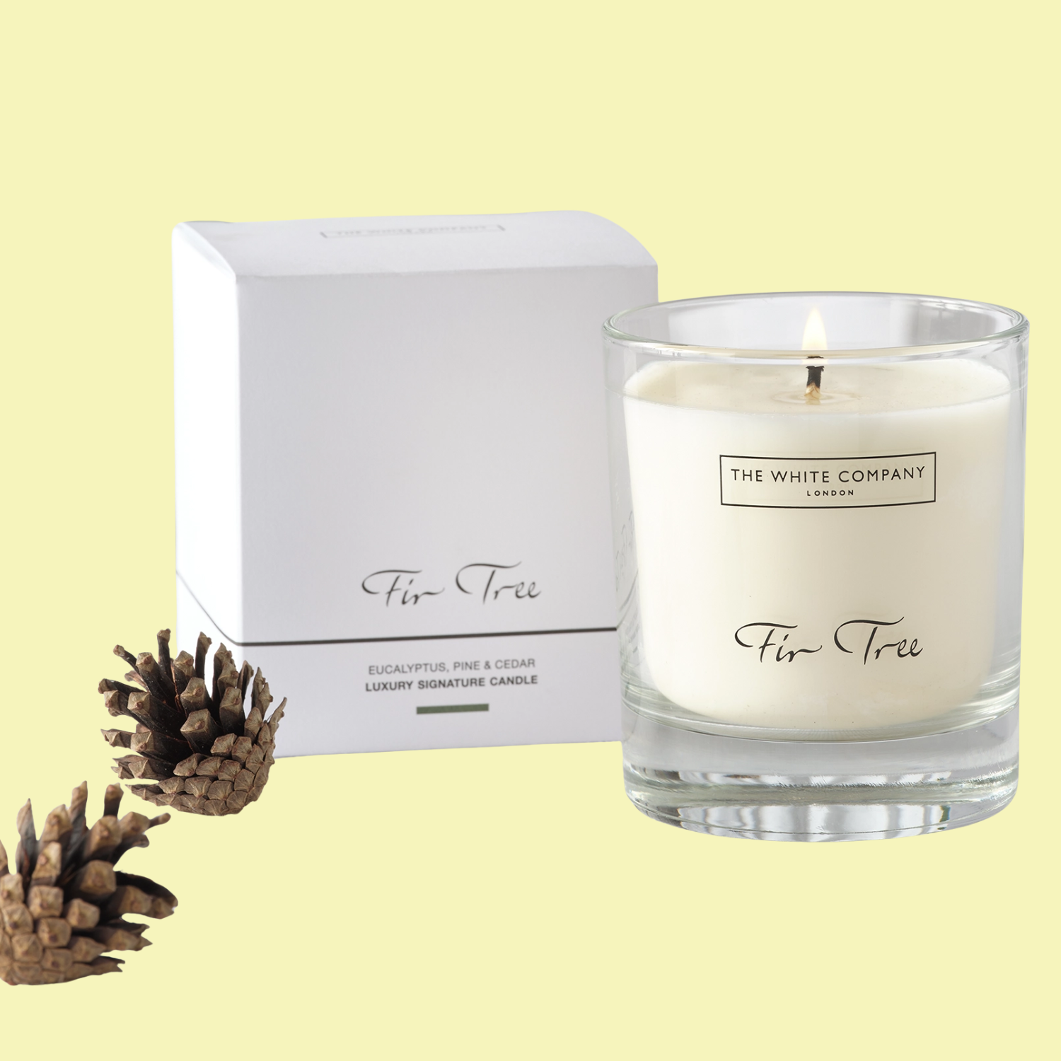 A glass candle with a fir fragrance