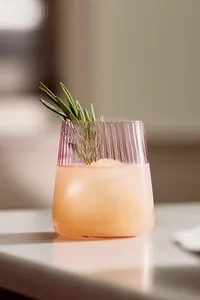Anthropologie Reflections Stemless Wine Glasses, Set of 4