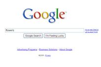 Google homepage