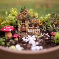 a fairy garden