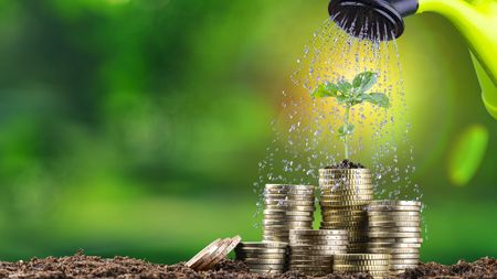 A watering can dribbles water on stacks of coins that have a sprouting plant on top.