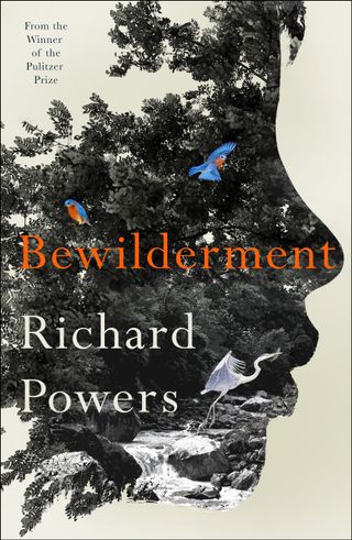 Bewilderment cover