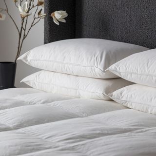 Pillows on bed with mattress protector