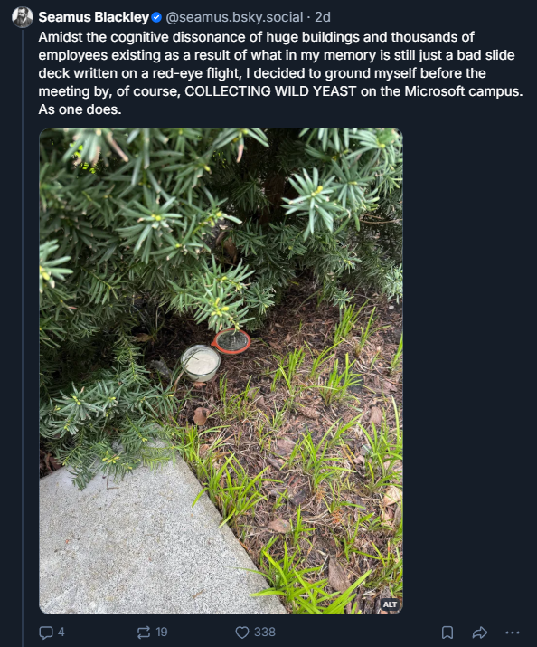 Seamus Blackley Bluesky post explaining the cognitive dissonance of returning to Xbox HQ and managing said dissonance by harvesting wild yeast from Microsoft grounds.