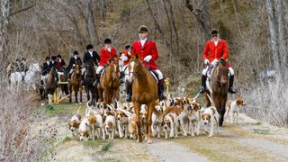 Pack of hounds out with horses