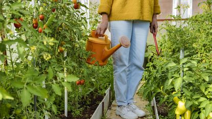Woman holding watering can and gardening equipment while standing at greenhouse