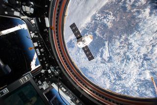 A SpaceX Dragon spacecraft hangs outside the International Space Station's Cupola module. The craft was there during the company's eighth resupply mission to the station, photographed by NASA astronaut Tim Kopra in April.