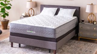 GhostBed Luxe versus the Cocoon Chill mattress