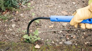 CobraHead hand weeder