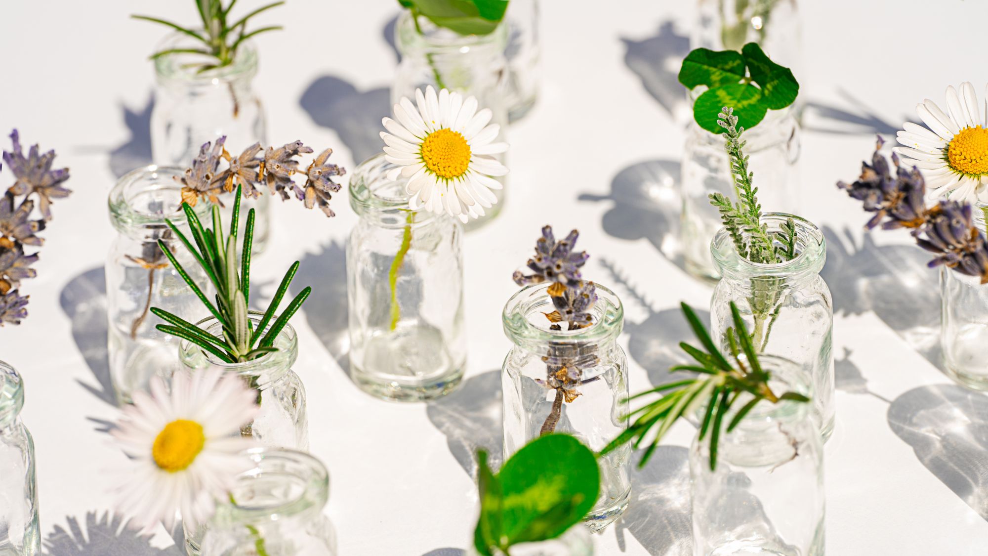 a close up of small clear bottles with flowers and herbs inside them - natural beauty