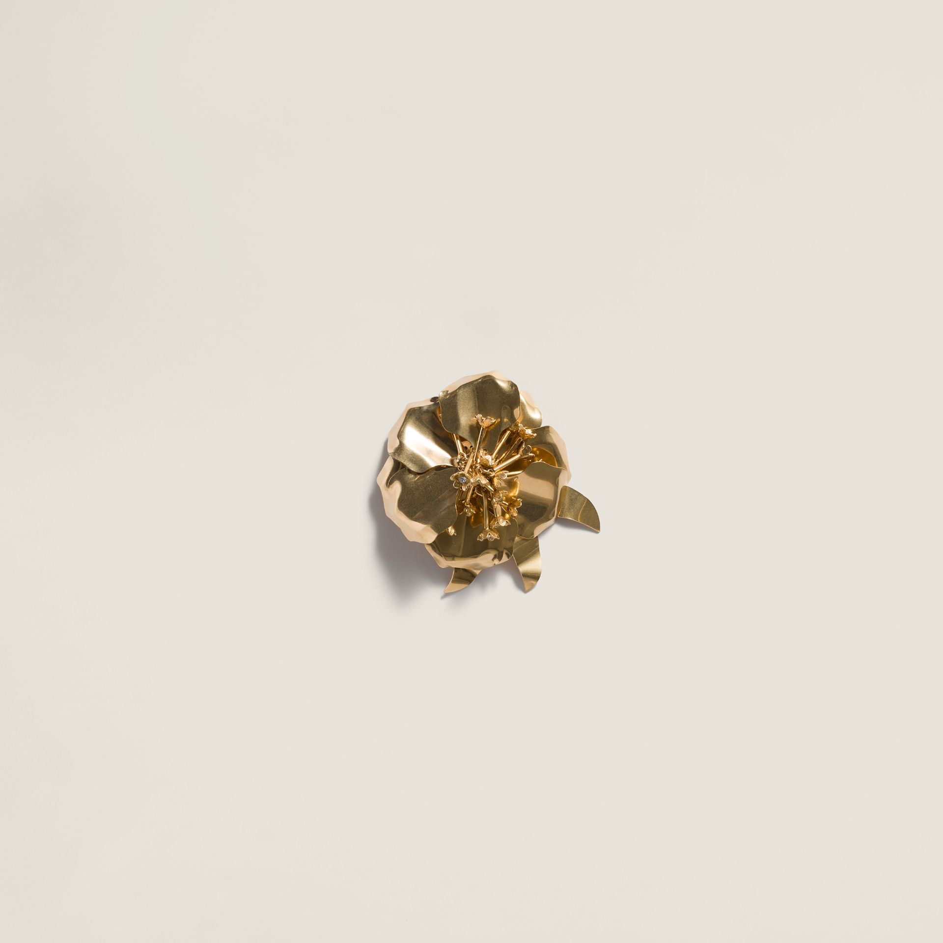 Metal Brooch With Crystals