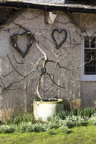 woven twig hearts with snowdrops