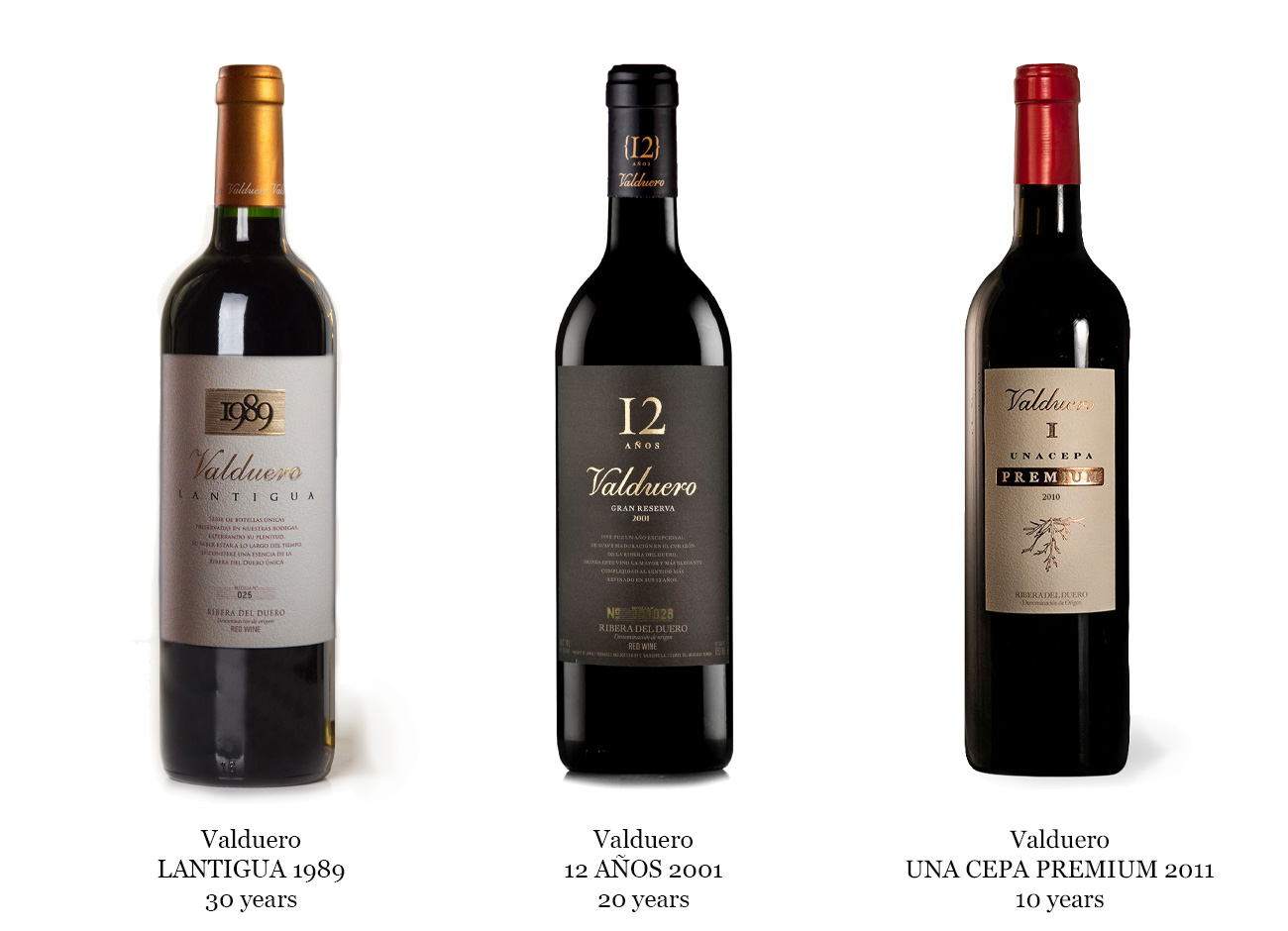 Valduero_Agecha_WINES-1.jpg