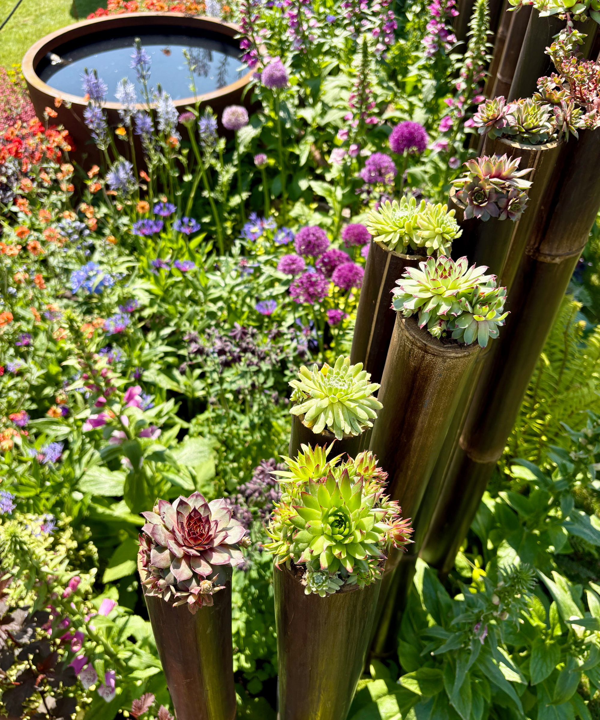succulents growing as fence toppers