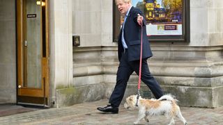 Dilyn the dog to leave Downing Street as Larry the Cat stays