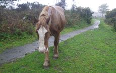 Swansea tethering