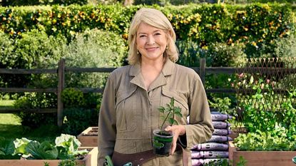 martha stewart in the garden for miracle gro