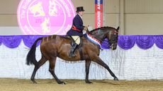 Classic-RH-Champ-Katie-Jerram-Hunnable-BOWERHALL-BLUE-MOON-10Sept21-025.jpg