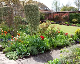 rosemary alexander spring garden with tulips, garden beds and photinia