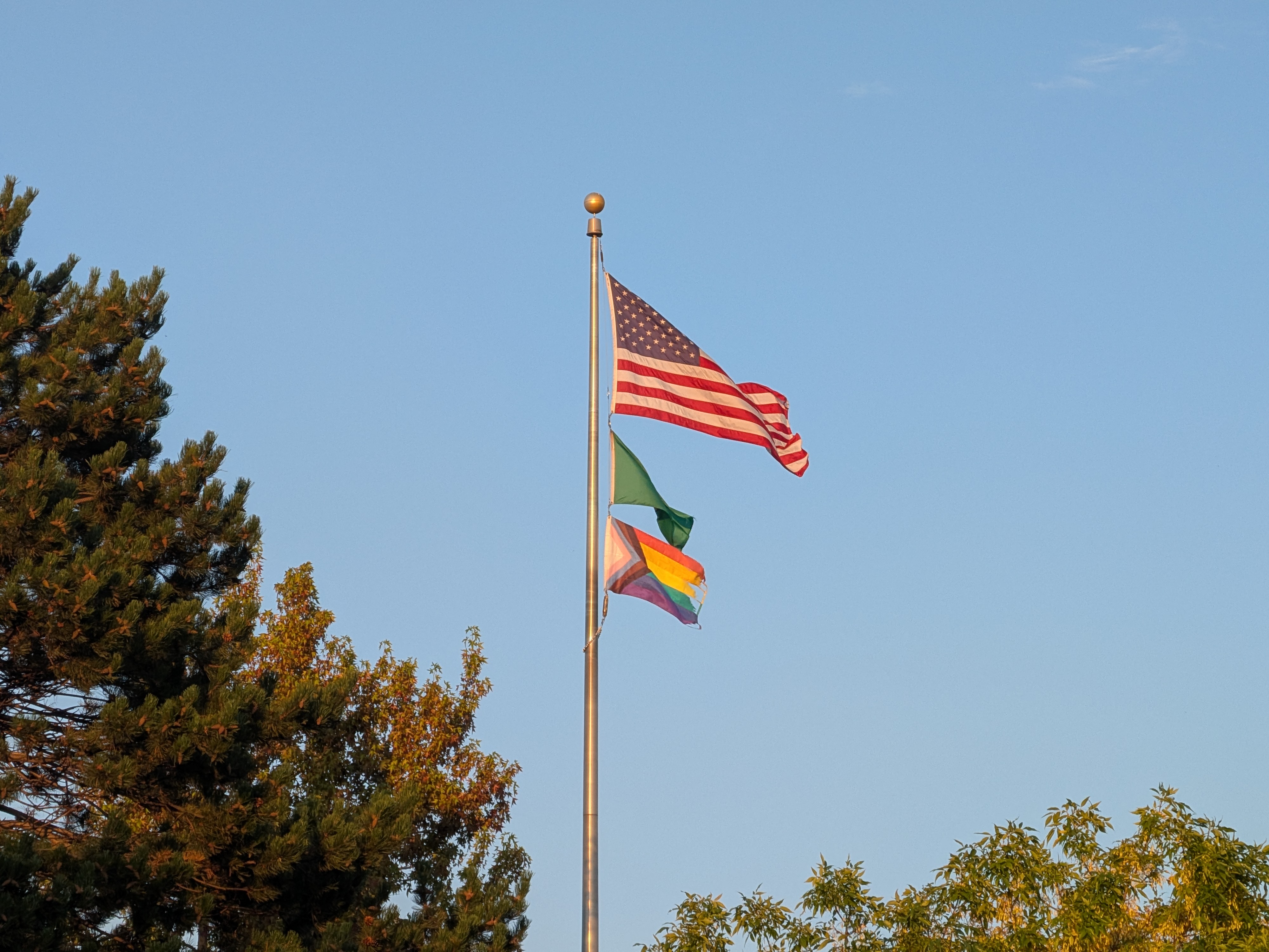 A flagpole next to a building