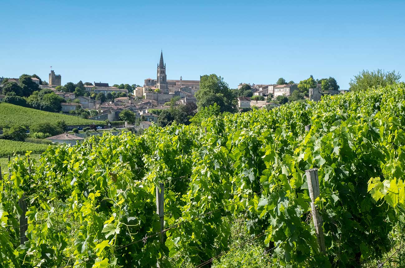 hobby vineyards, bordeaux