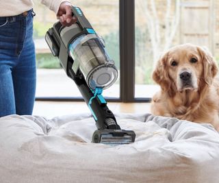 VAX wet vacuum with a dog beside it