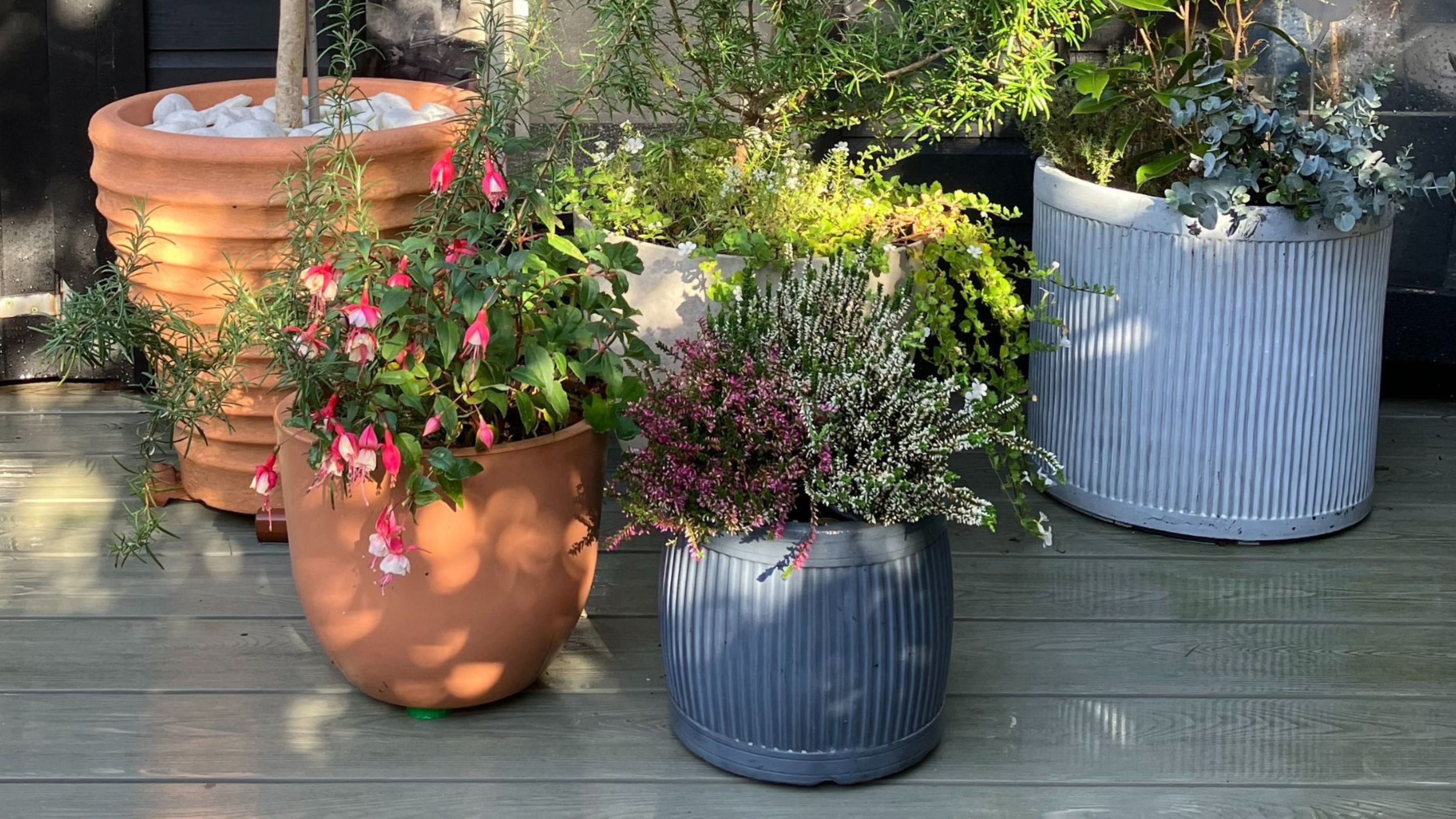 container garden on decking