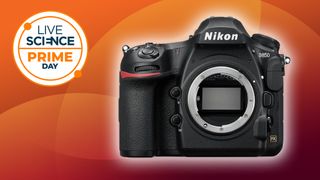 Nikon D850 on an orange background