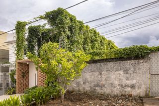 Modern Tropical Shed in Manaus