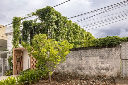 Modern Tropical Shed in Manaus 
