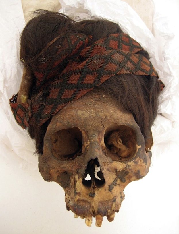 paracas necropolis mummy red headdress