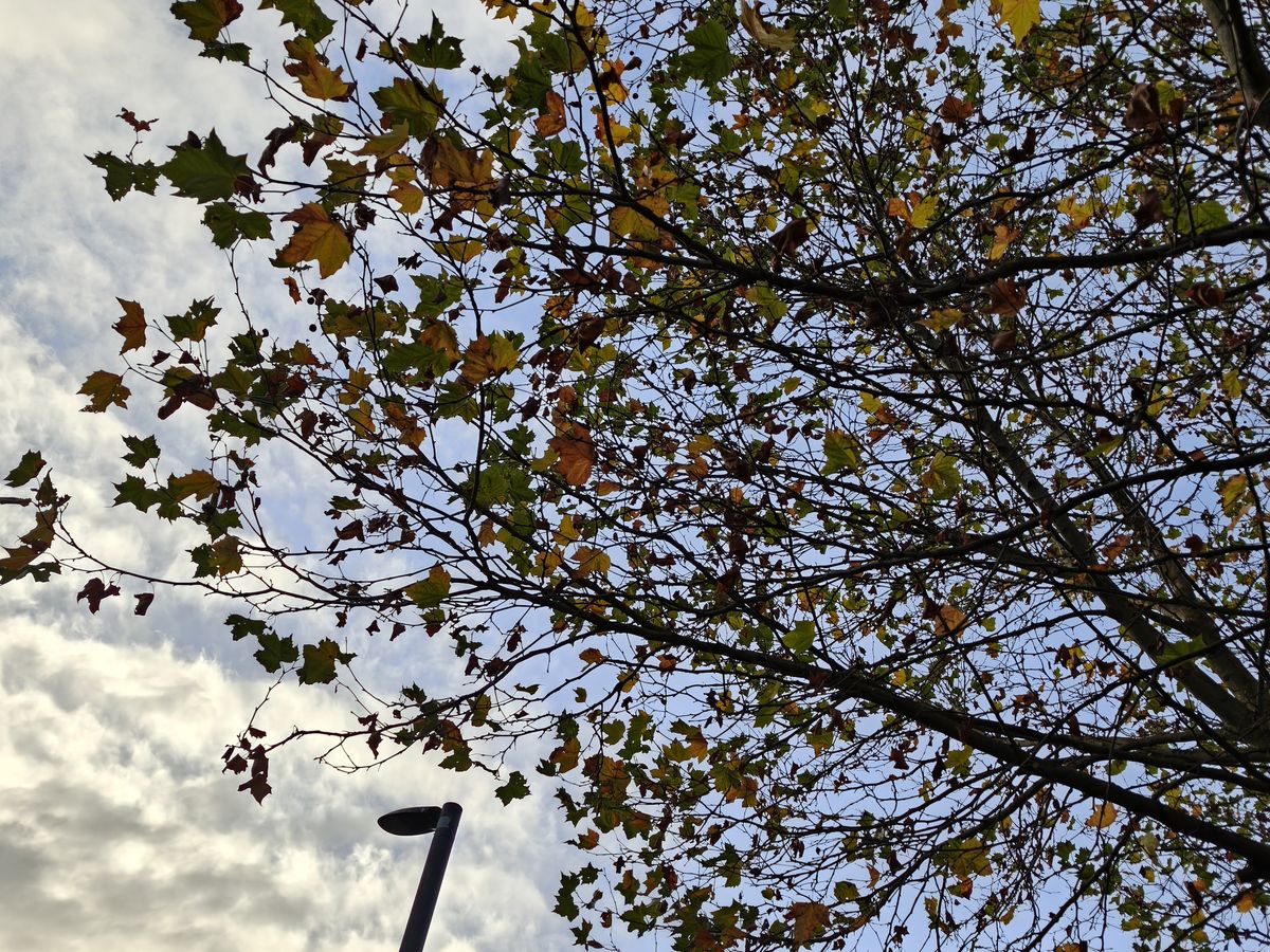 Oppo Find X8 Pro sample image
