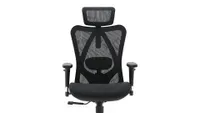 Product shot of Sihoo Ergonomic Office Chair one of the best office chairs for back pain