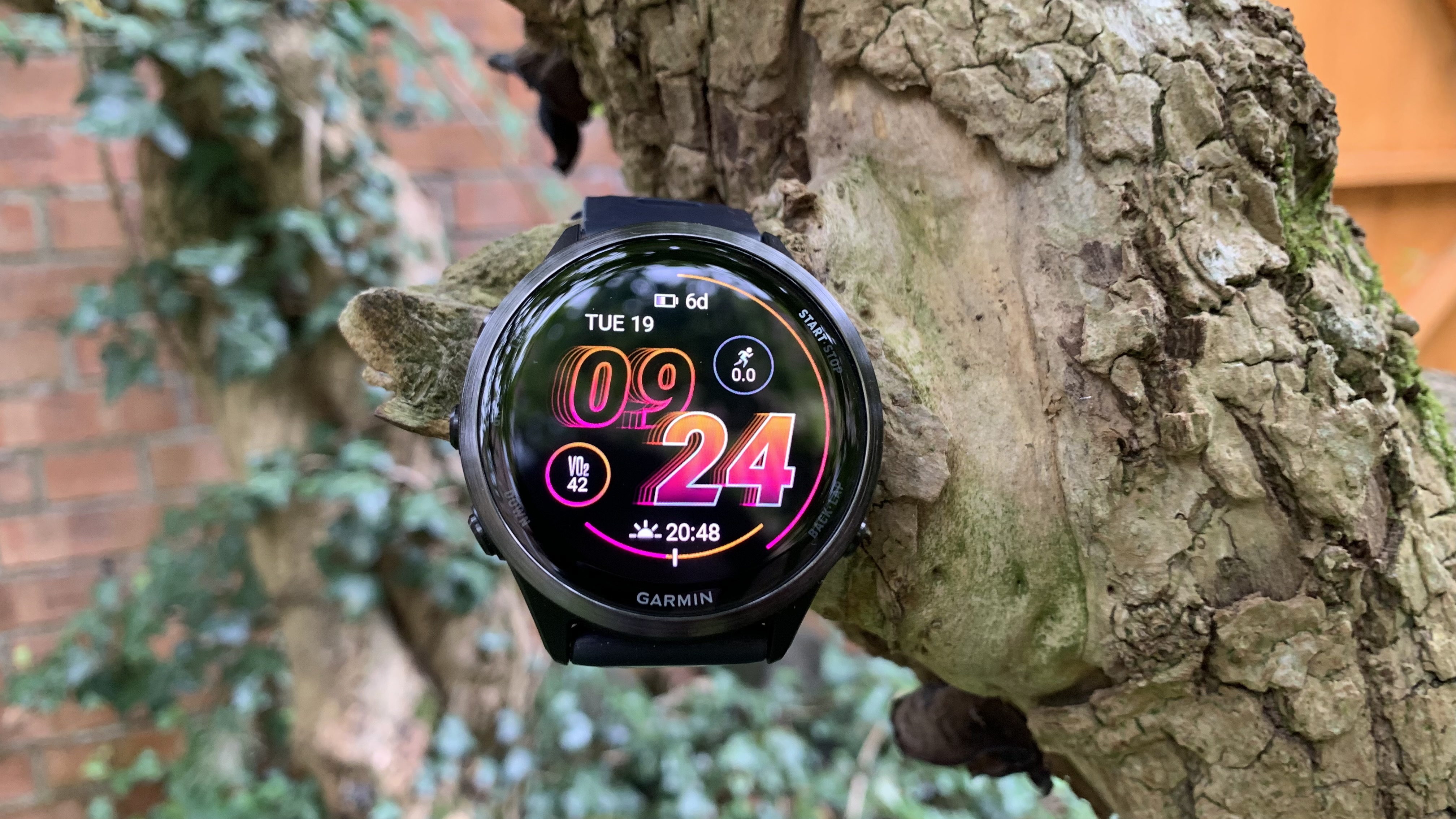 Garmin Forerunner 570 on a tree