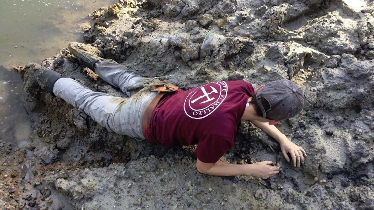 Sarah Boessenecker looks for fossil shark teeth from the ancient Carcharocles angustidens.
