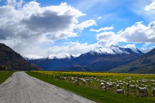 New Zealand, landscapes