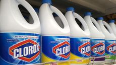 Bleach can kill viruses. It can be used to clean surfaces. It should never be ingested ... or injected.