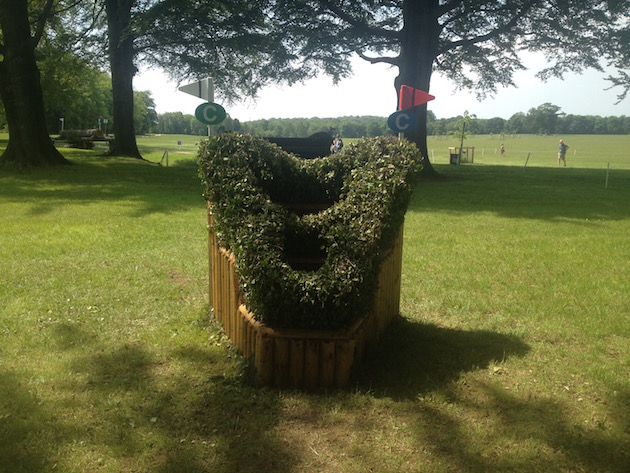 Bramham2015CCI6c